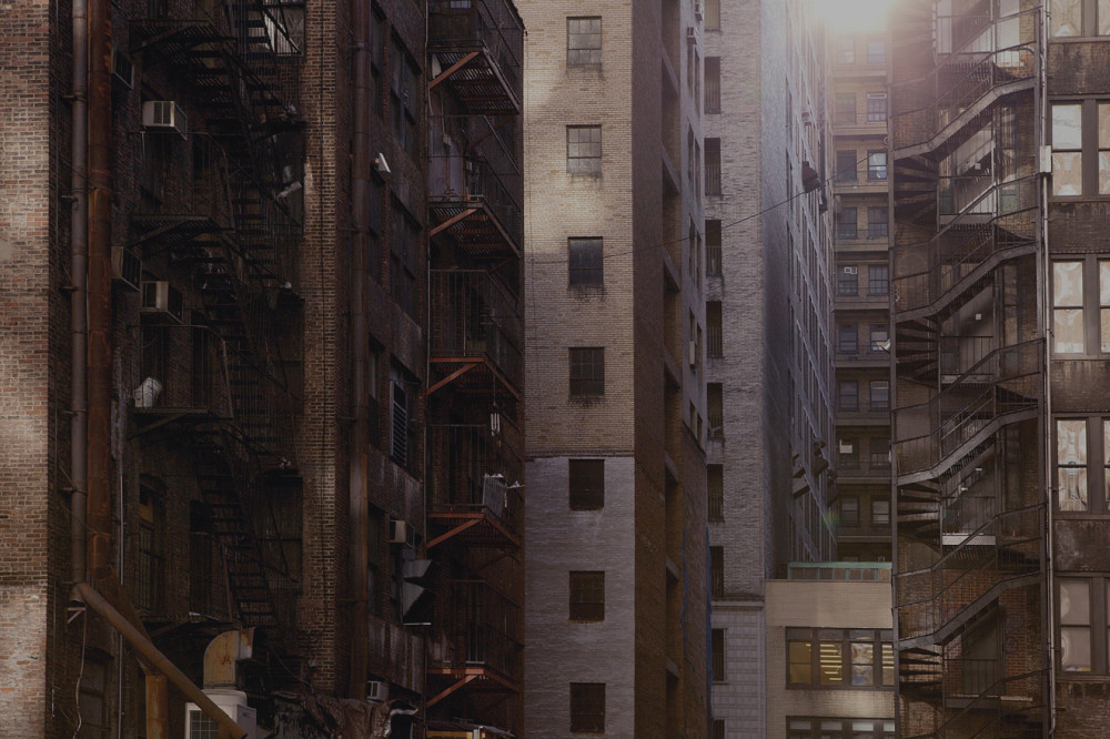 Concrete Jungle